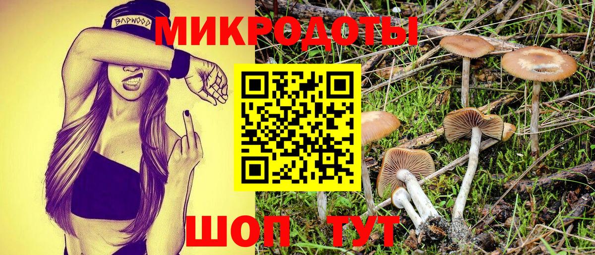 Галлюциногенные грибы Psilocybine cubensis Богданович