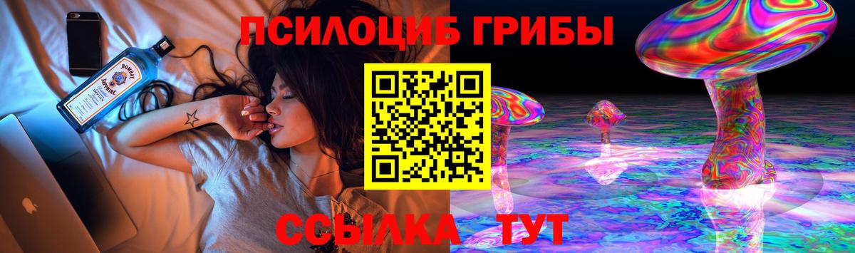 Богданович  Псилоцибиновые грибы Psilocybine cubensis  Псилоцибиновые грибы MAGIC MUSHROOMS  Вход с VPN 
